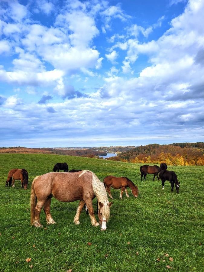 Vila Jaskowe Wzgorze Na Wynajem, Balia, Szymbark Nr 1 Szymbark (Pomerania)