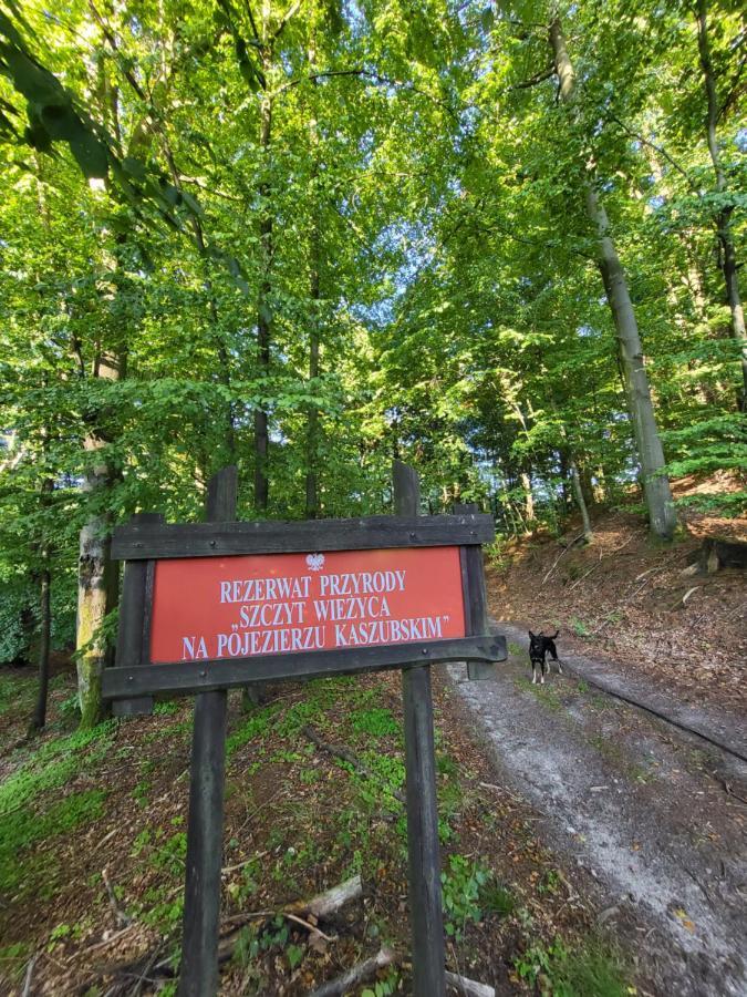 Villa Jaskowe Wzgorze Na Wynajem, Balia, Szymbark Nr 1 *