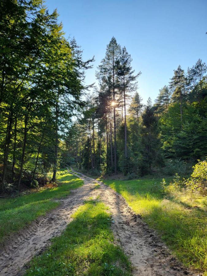 Jaskowe Wzgorze Na Wynajem, Balia, Szymbark Nr 1 *