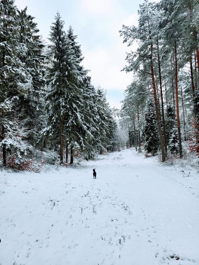 Jaskowe Wzgorze Na Wynajem, Balia, Szymbark Nr 1 Szymbark (Pomerania)