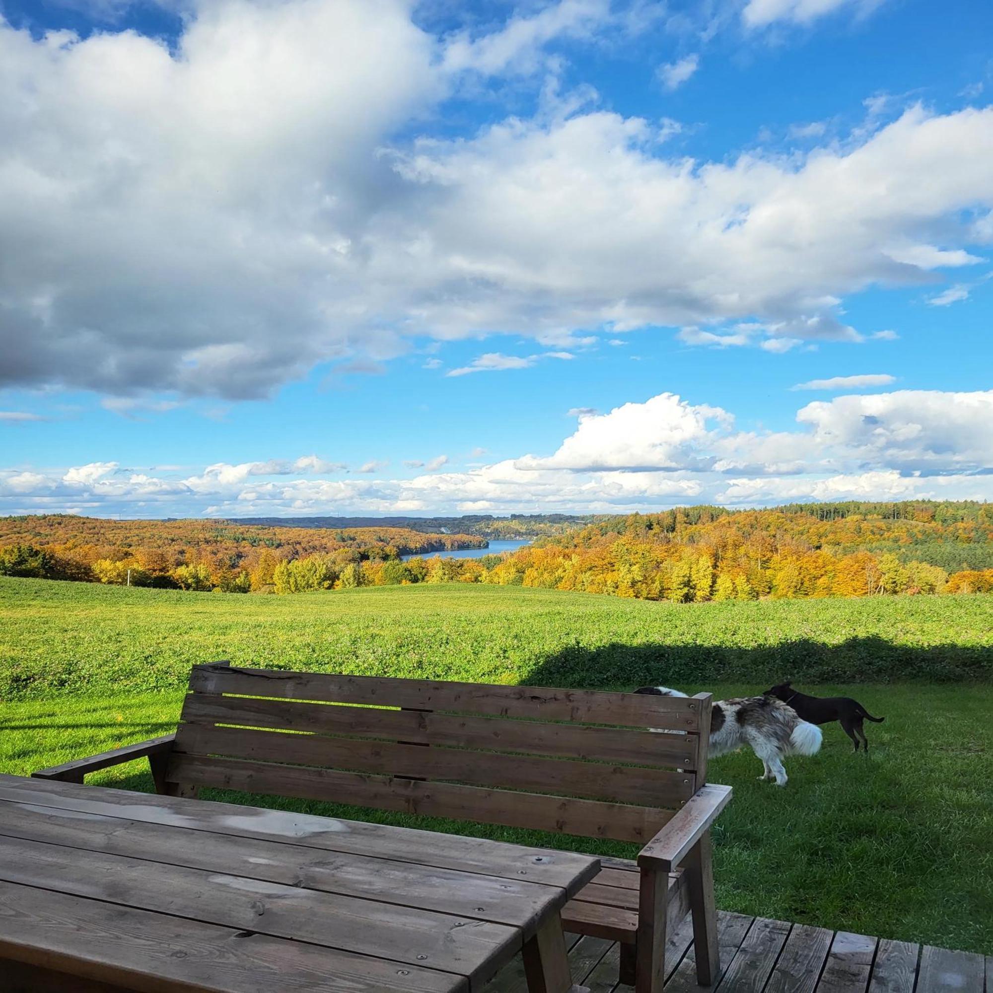 Jaskowe Wzgorze Na Wynajem, Balia, Szymbark Nr 1 *