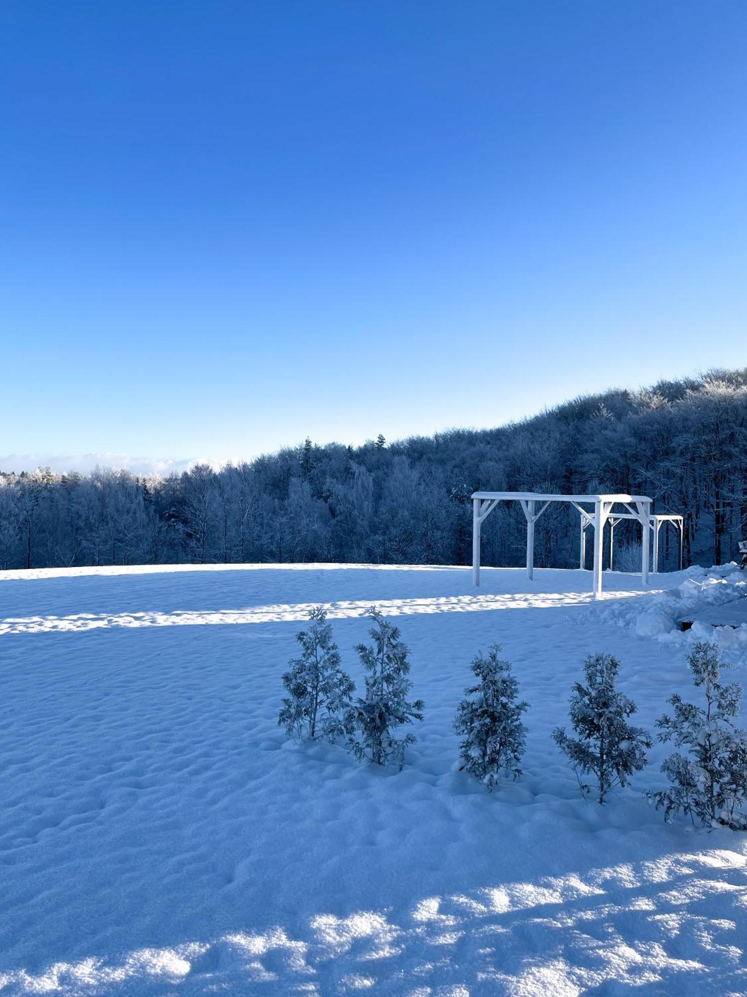 Jaskowe Wzgorze Na Wynajem, Balia, Szymbark Nr 1 Villa